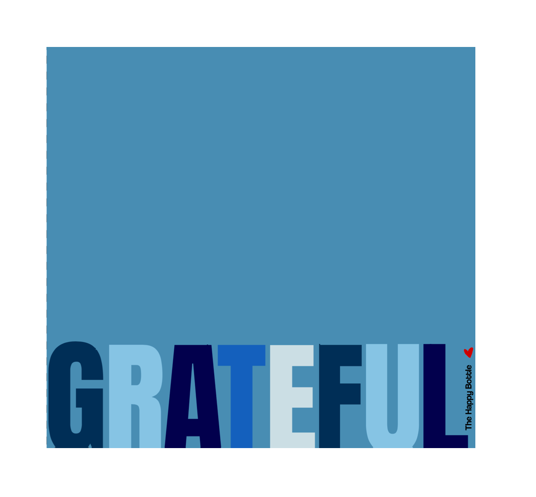 Stainless Water Bottle —Denim Grateful Bottle- Reusable